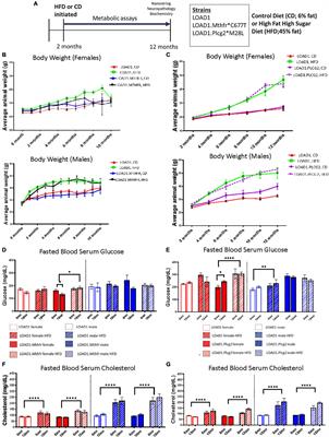 Plcg2M28L Interacts With High Fat/High Sugar Diet to Accelerate Alzheimer’s Disease-Relevant Phenotypes in Mice